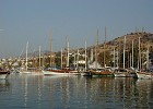 PIC00069