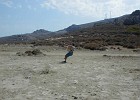 PIC00095