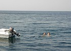PIC00096