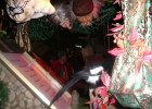 2004 0219fasnacht20065